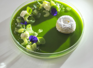 Bild 24713 von Haus Schloss Hohenkammer