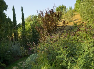 Bild 24786 von Haus La Colonna